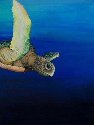 Big turtle